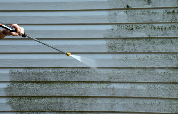 Best Professional Mold Removal  in Cumberland, WI