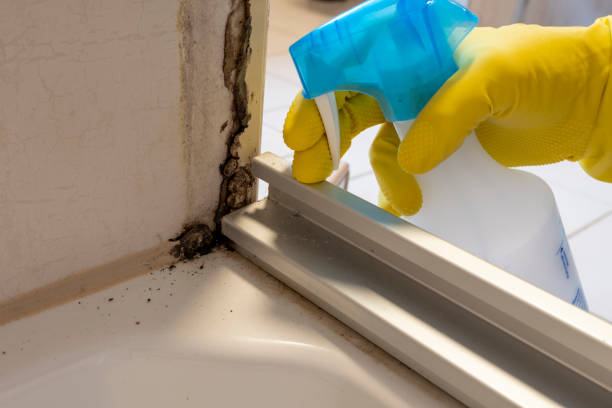 Best Emergency Mold Removal  in Cumberland, WI