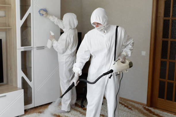 Mold Removal Process in Cumberland, WI