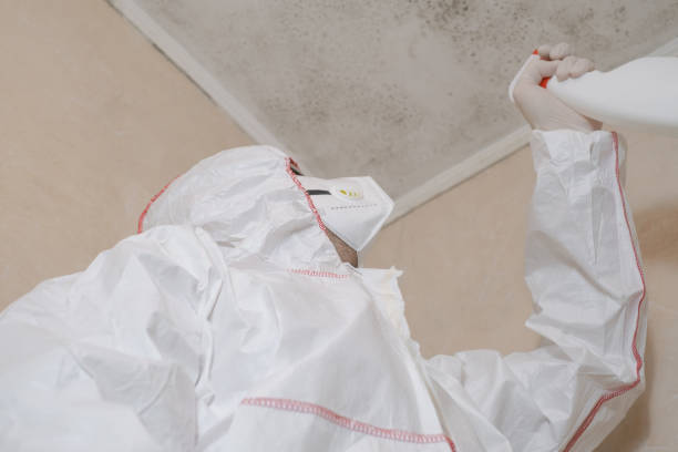 Best Mold Remediation Services  in Cumberland, WI