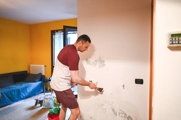 Best Residential Mold Removal  in Cumberland, WI