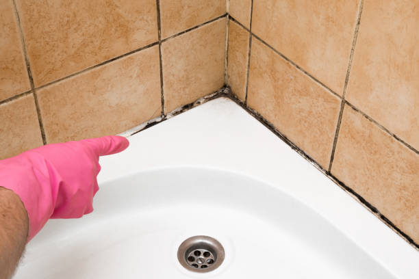 Best Residential Mold Removal  in Cumberland, WI